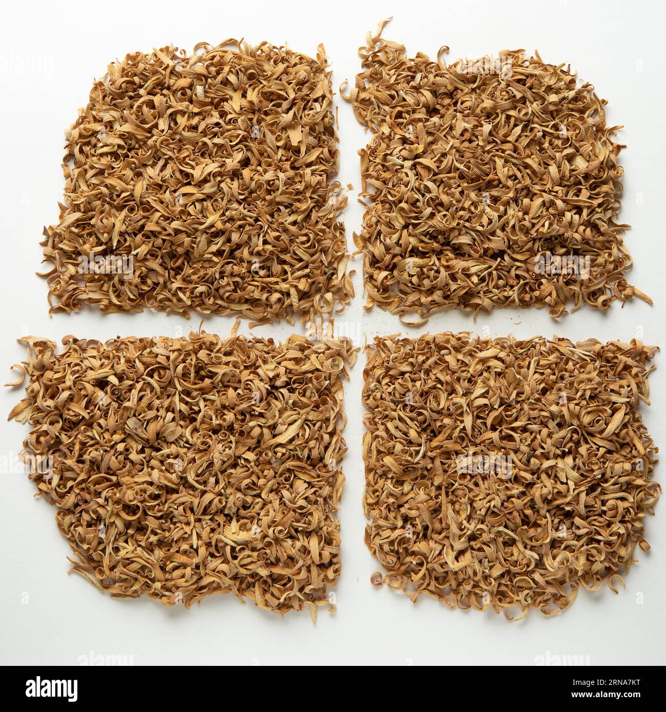Pile of dried bitter orange blossoms, Citrus × aurantium, set up for ...