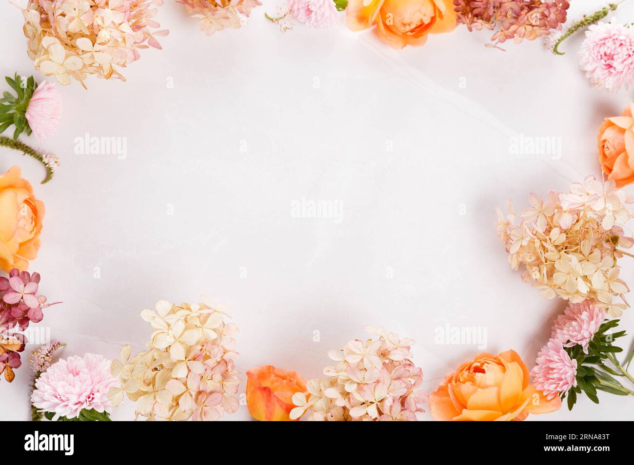 Autumn creative composition roses, hydrangea flowers on gray background. Fall, autumn background. Stock Photo