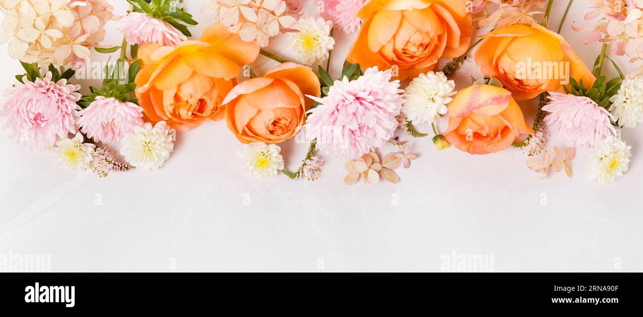 Autumn creative composition roses, hydrangea flowers on gray background. Fall, autumn background. Stock Photo
