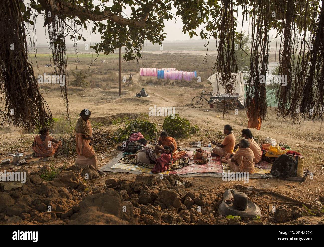 BOLPUR,  -- Indian Hindu devotees take shelter under a tree at the Joydev Fair beside the Ajay river, some 200 kilometers away from Kolkata, capital of eastern Indian state West Bengal, Jan. 14, 2016. A large number of Hindu pilgrims converging for the Joydev Fair which is culminating on the occasion of Makar Sankranti, a holy day of the Hindu calendar, during which taking a dip is considered to be of great religious significance. ) INDIA-WEST BENGAL-JOYDEV FAIR TumpaxMondal PUBLICATIONxNOTxINxCHN   Bolpur Indian Hindu devotees Take Shelter Under a Tree AT The Joydev Fair Beside The Ajay River Stock Photo