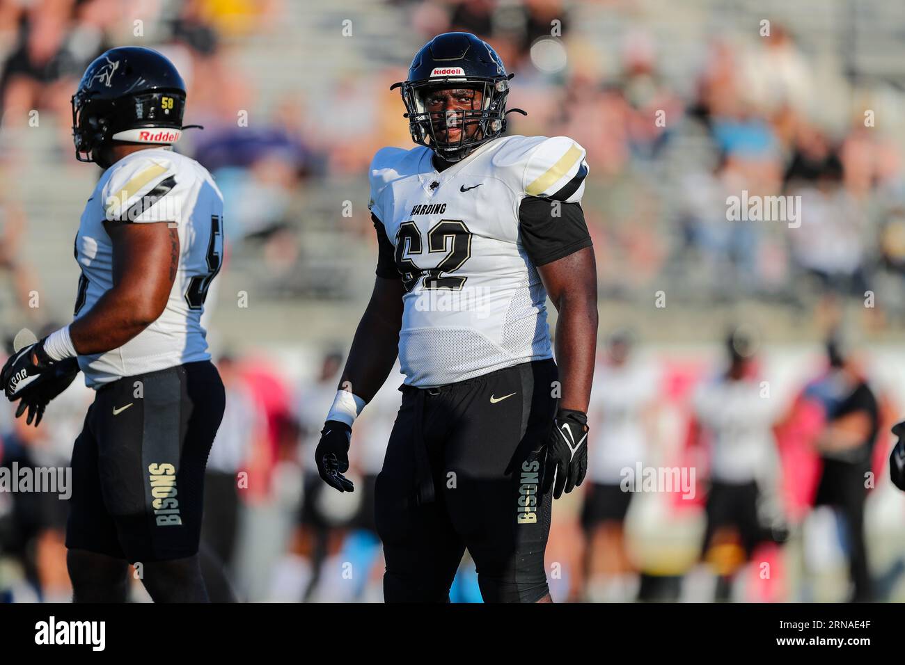 August 31, 2023:.Harding University Bison DL Aldrin Wilson (62) looks to the sideline of the NCAA Football game between the Harding University Bison and the Southern Nazarene University Crimson Storm at SNU Stadium in Bethany, OK. Ron Lane/CSM Stock Photo