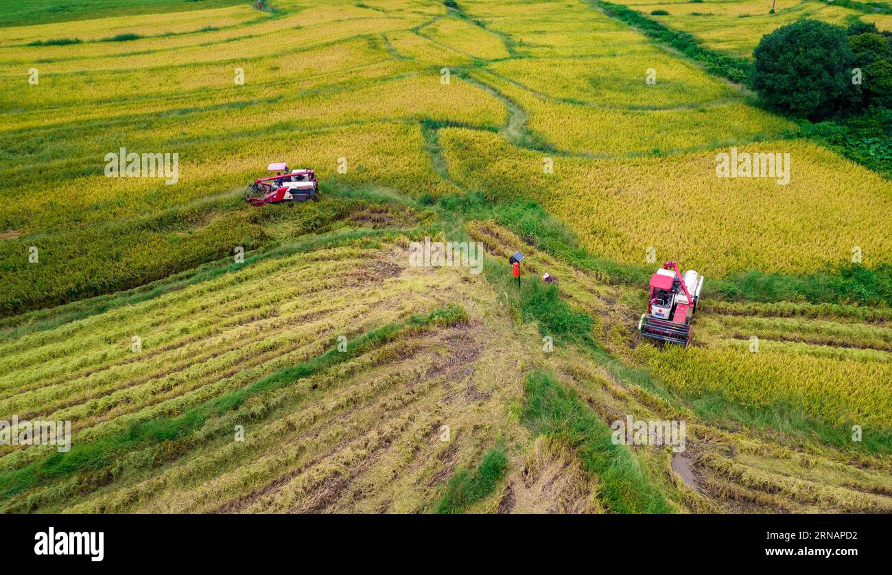 Beijing, China. 31st Aug, 2023. This aerial photo taken on Aug. 31