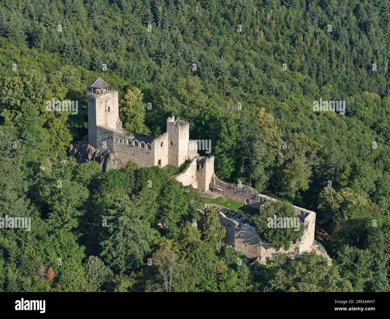 AERIAL VIEW. Bernstein Castle. Dambach-la-Ville, Bas-Rhin, Alsace, Grand Est, France. Stock Photo