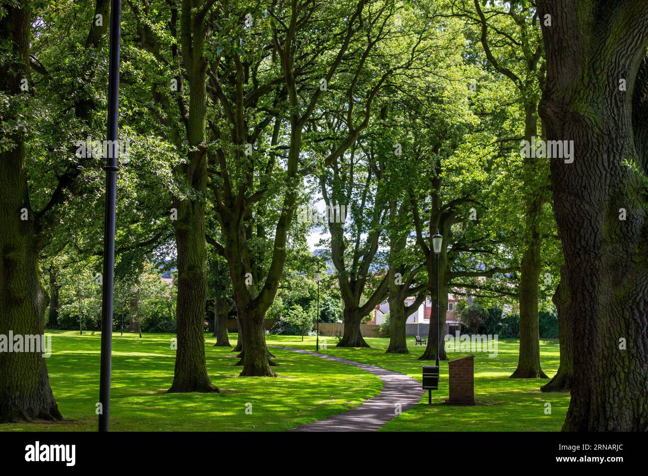 A park with a paved pathway winding between the trees Stock Photo - Alamy