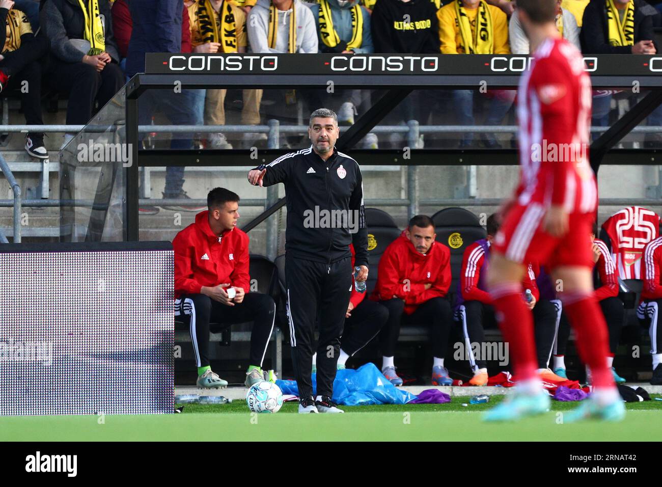 bod-20230831sepsi-osks-coach-liviu-ciobotariu-during-the-europa-conference-league-match-between-bodoeglimt-and-sepsi-osk-at-the-aspmyra-stadium-the-match-ended-2-2-overall-5-4ee-photo-mats-torbergsen-ntb-2RNAT42.jpg