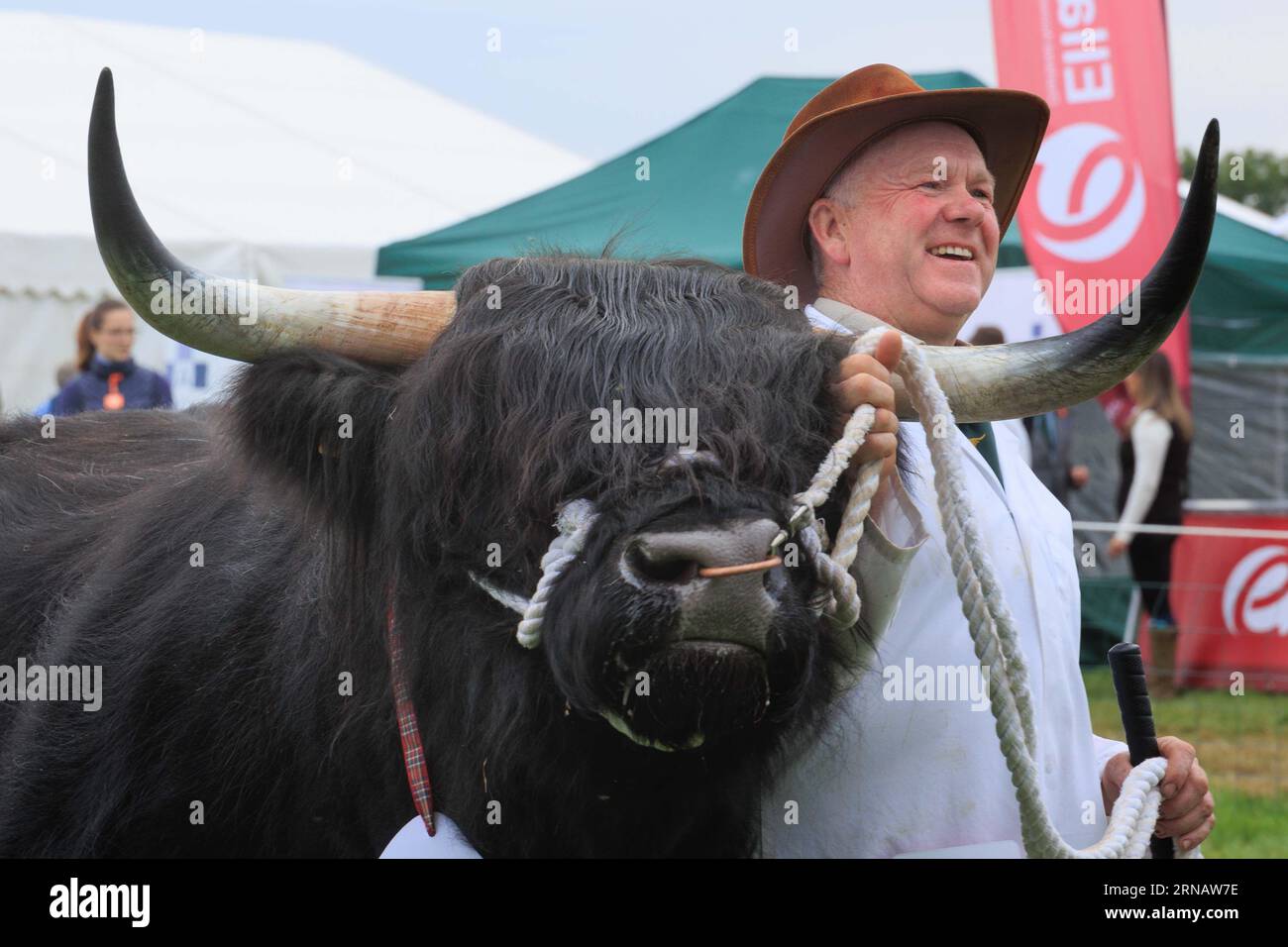 Weedon Park, Aylesbury, Buckinghamshire. UK. 31st August 2023 A