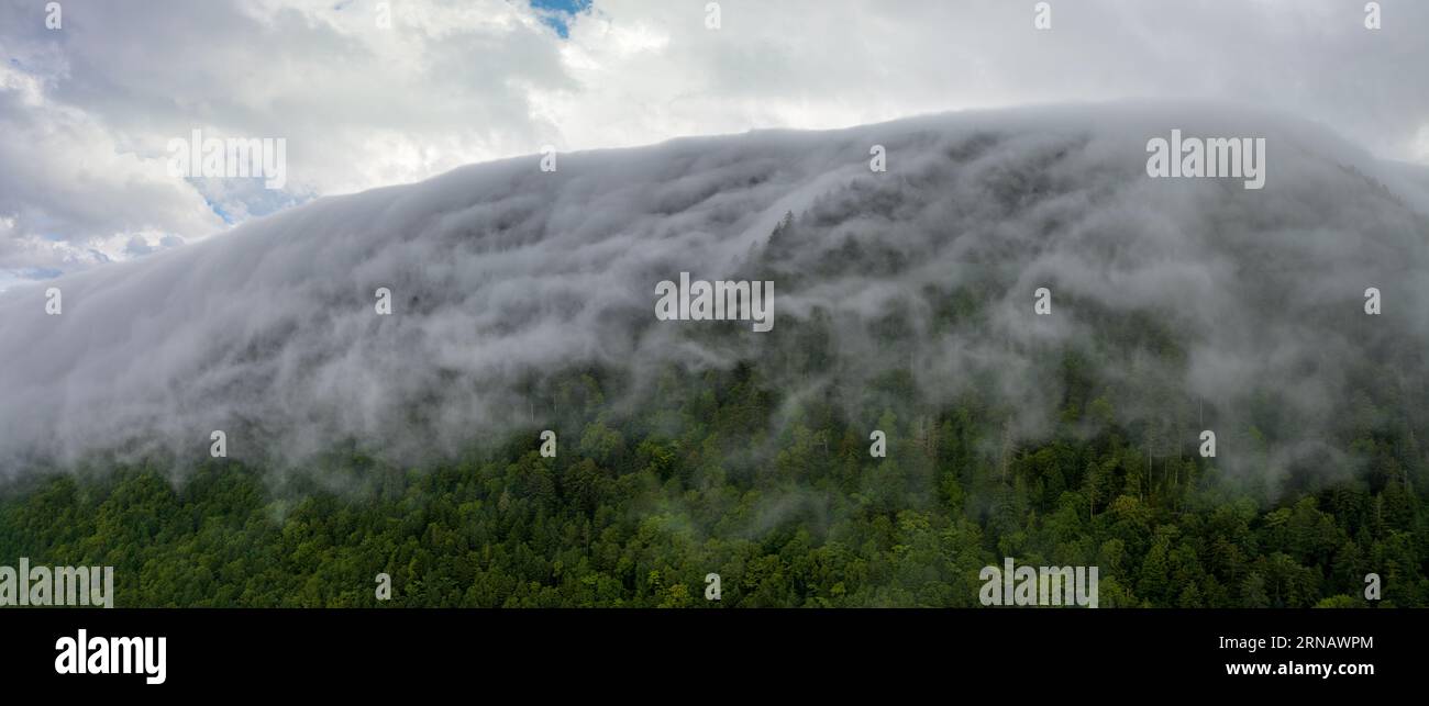 Coastal region fog hi-res stock photography and images - Alamy