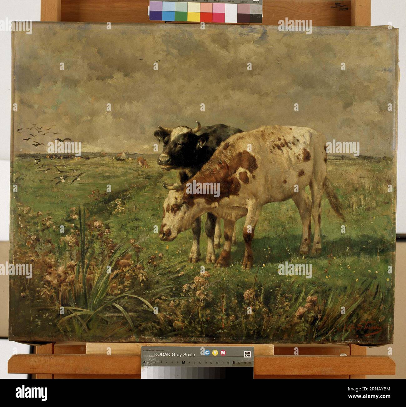 Holy rope by Alfred Verwee Stock Photo - Alamy