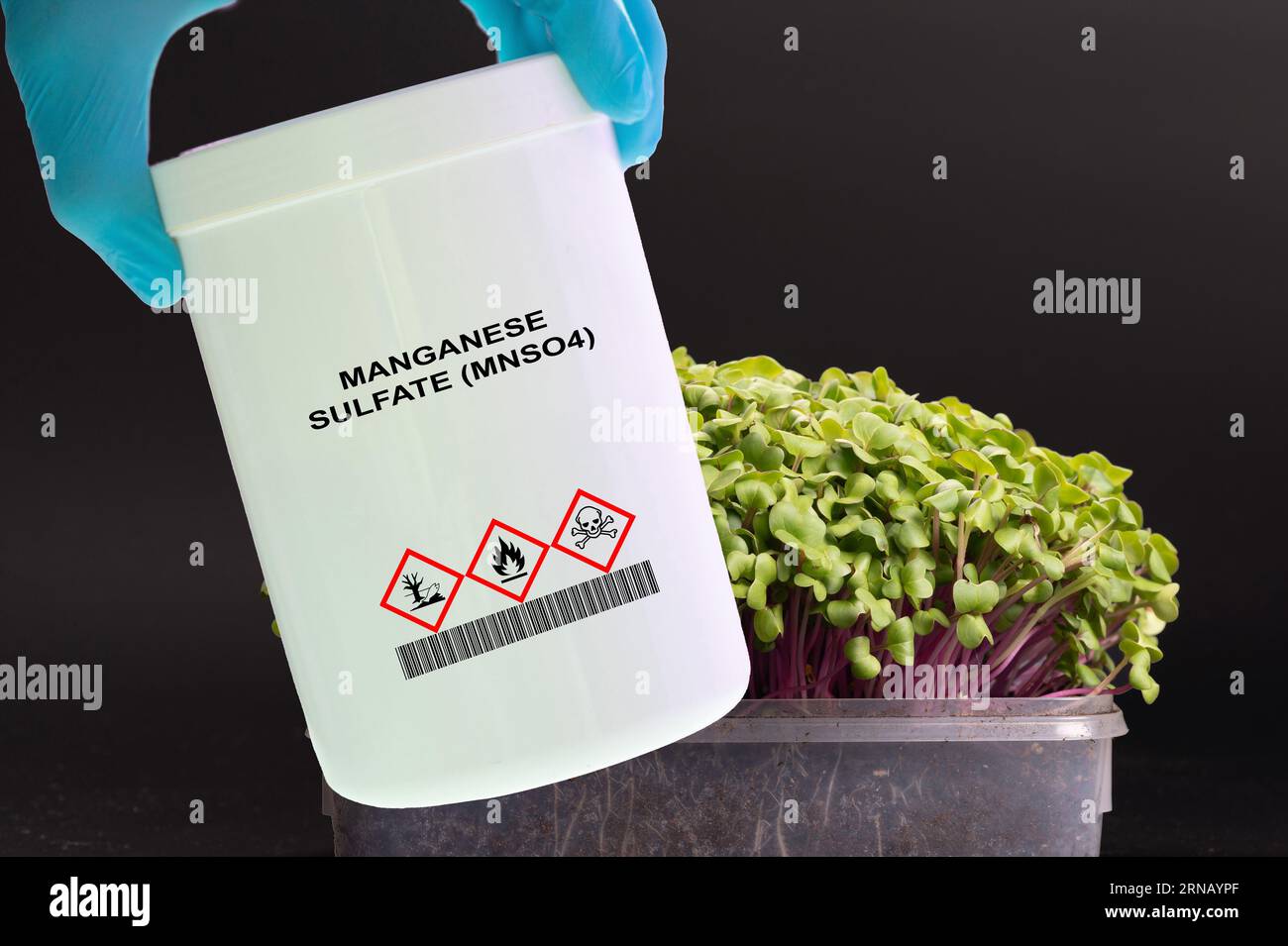 Manganese sulfate (MnSO4) A soluble salt used to correct manganese deficiencies in plants Stock