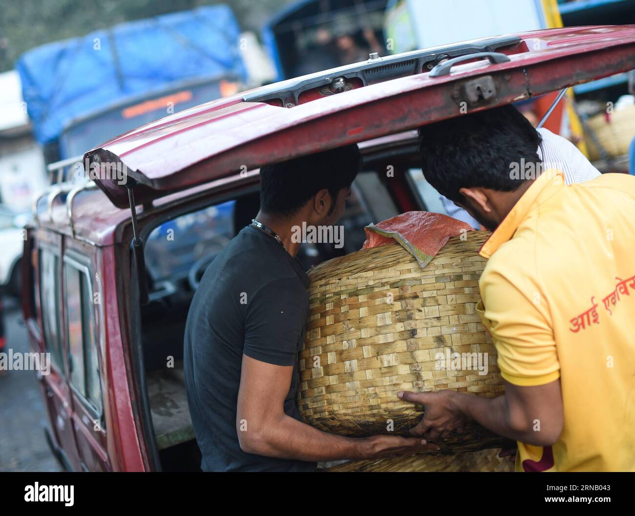 (160212) -- MUMBAI, Feb. 12, 2016 -- Workers load fresh fish into a ...
