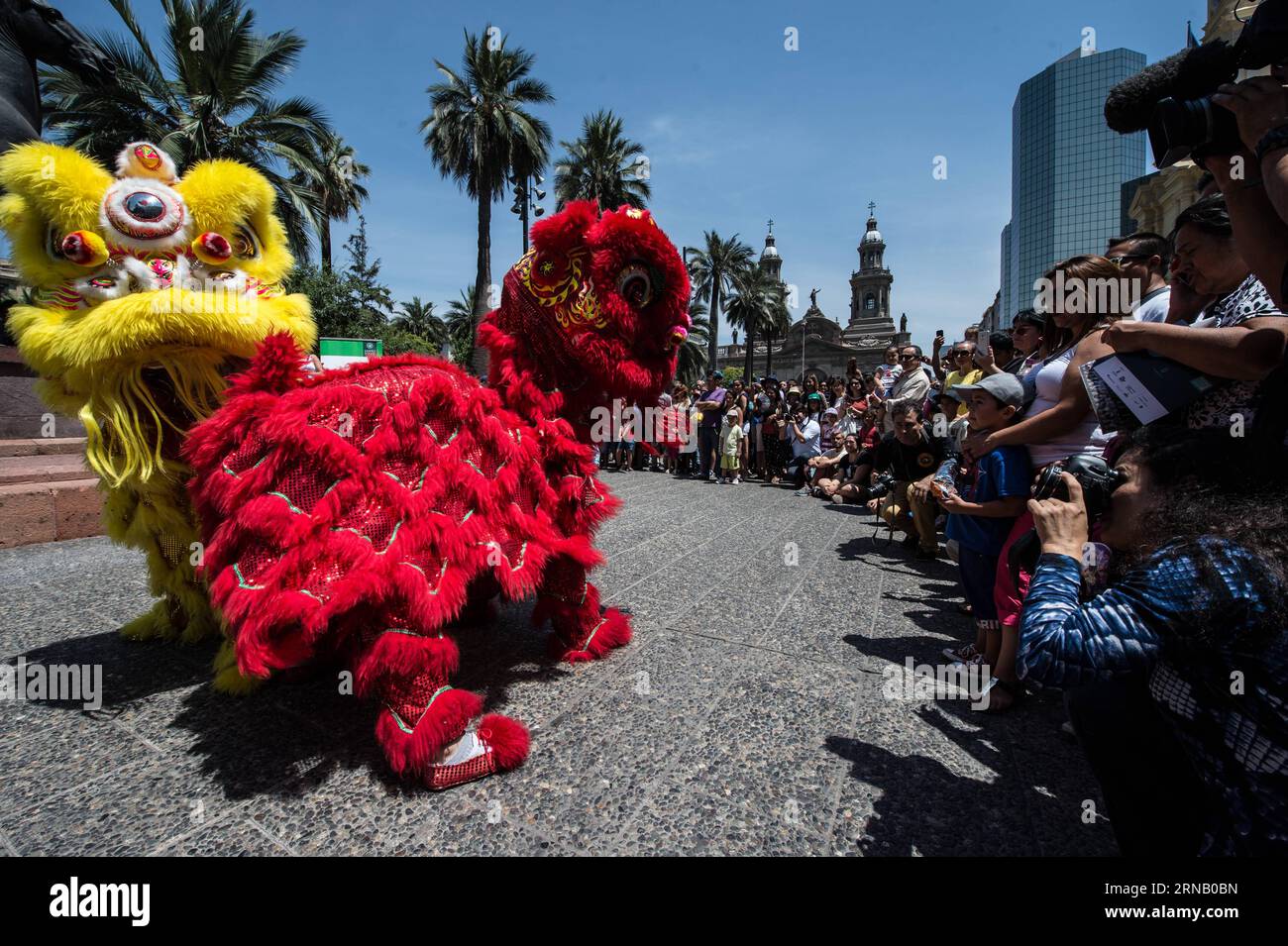 Dancers perform Lion Dance during the Chinese Lunar New Year and Feast of Santiago celebrations, at the Plaza de Armas in Santiago, capital of Chile, on Feb. 12, 2016. Feast of Santiago celebrates the 475th anniversary of the founding of the Chilean capital of Santiago by Pedro de Valdivia. Jorge Villegas) (jg) (fnc) CHILE-SANTIAGO-CHINA-LUNAR NEW YEAR e JORGExVILLEGAS PUBLICATIONxNOTxINxCHN   Dancers perform Lion Dance during The Chinese Lunar New Year and Feast of Santiago celebrations AT The Plaza de Armas in Santiago Capital of Chile ON Feb 12 2016 Feast of Santiago celebrates The 475th An Stock Photo