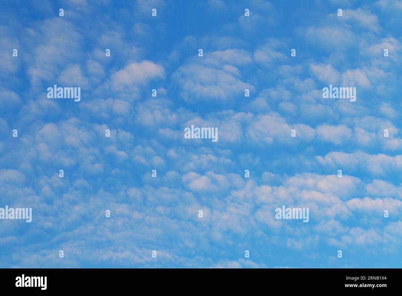 Summer blue sky with white beauty clouds Stock Photo - Alamy