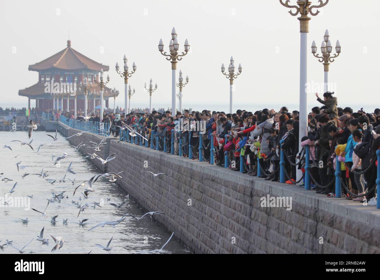 (160215) -- QINGDAO, Feb. 15, 2016 -- Tourists look at seagulls at the Zhanqiao Bridge scenic zone in Qingdao, east China s Shandong Province, Feb. 8, 2016. China s tourism revenue during the Spring Festival holiday reached 365.1 billion yuan (55.7 billion U.S. dollars), up 16.3 percent year on year. The number of tourists during the seven-day holiday topped 302 million across the country, up 15.6 percent. )(mcg) CHINA-SPRING FESTIVAL HOLIDAY-TOURISM (CN) HuangxJiexian PUBLICATIONxNOTxINxCHN   Qingdao Feb 15 2016 tourists Look AT seagulls AT The Zhanqiao Bridge Scenic Zone in Qingdao East Chin Stock Photo