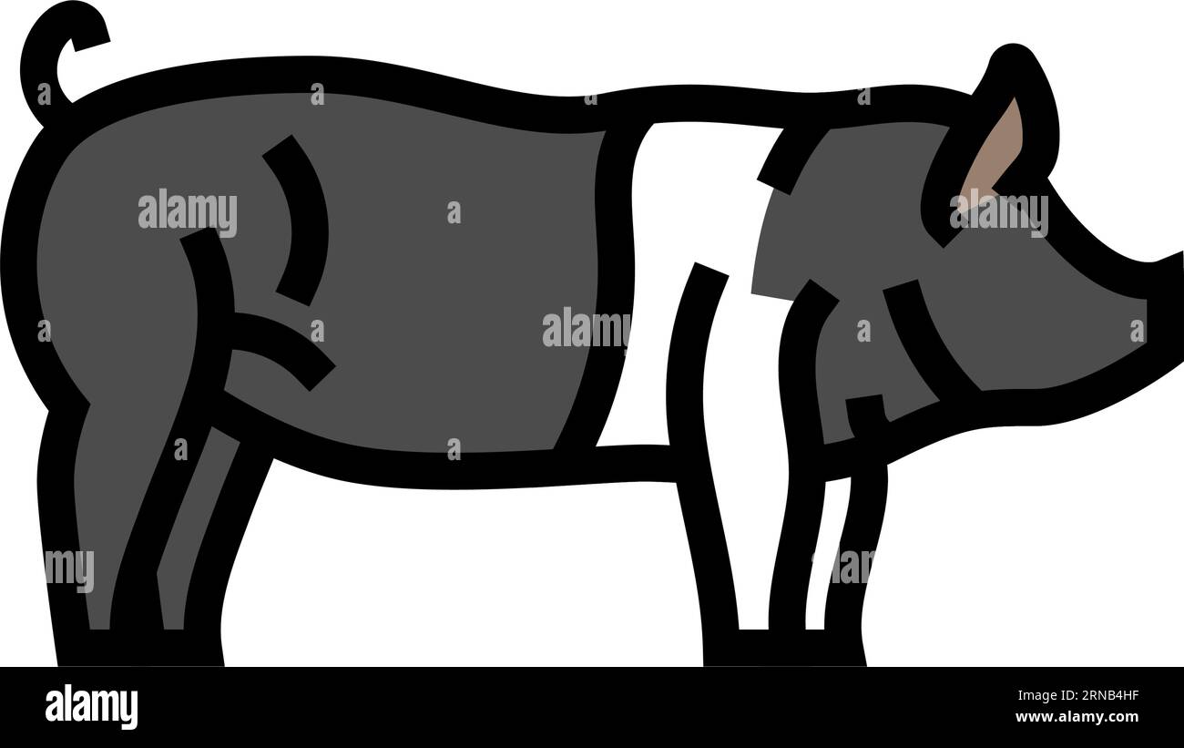 hampshire pig breed color icon vector illustration Stock Vector Image ...