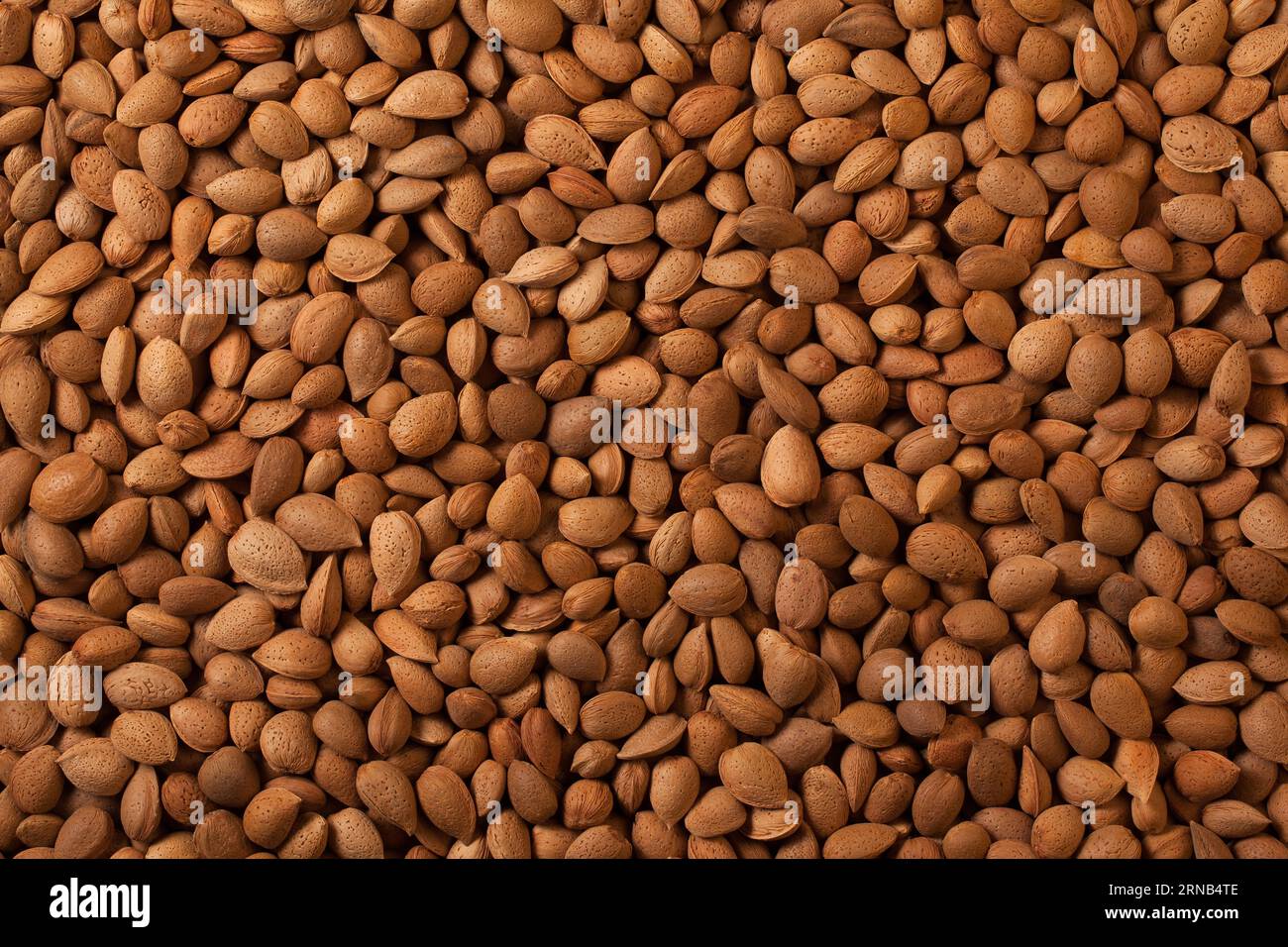 Almonds Nut Background with Shell Sicilian "Pizzuta d'Avola" Variety