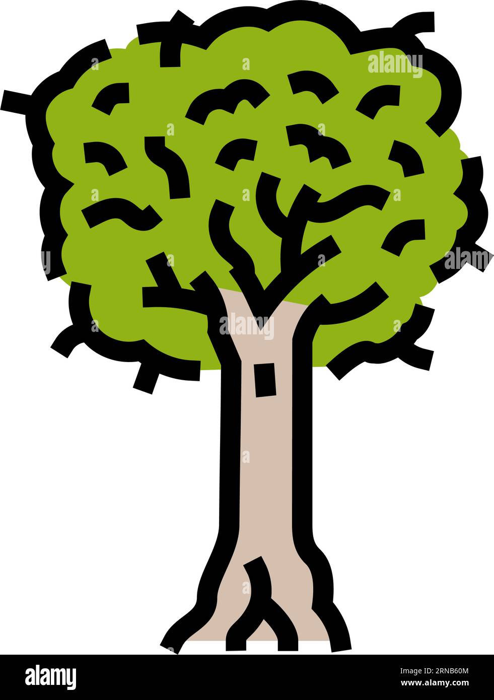 kauri jungle amazon color icon vector illustration Stock Vector Image & Art Alamy