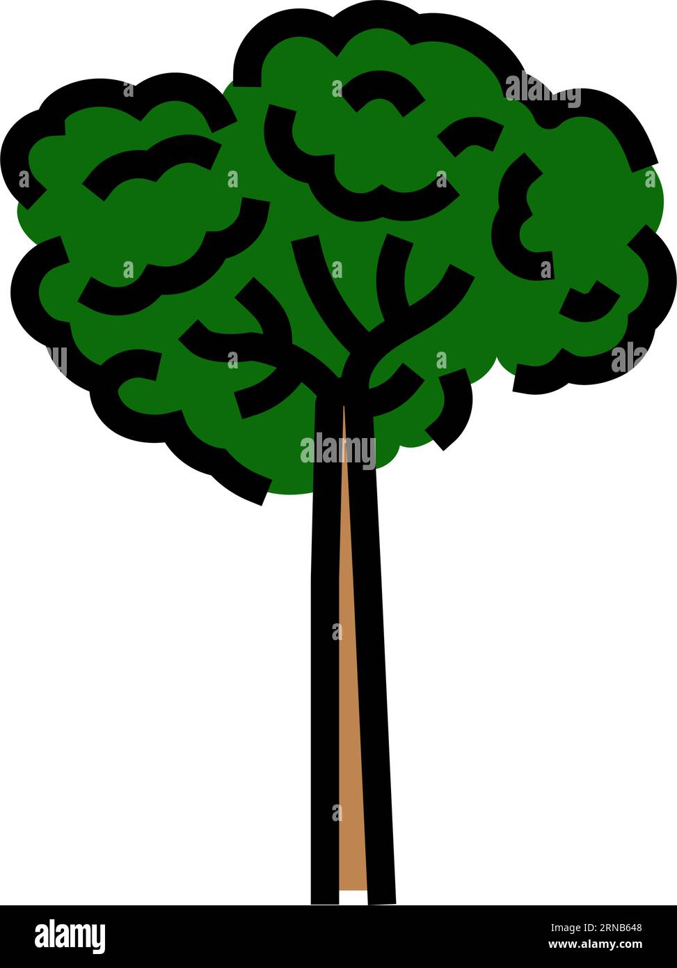 brazil nut tree color icon vector illustration Stock Vector Image & Art