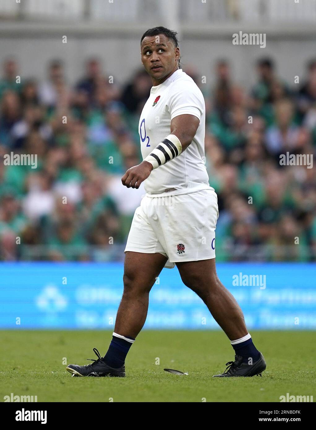 Referee Chris Busby during the Heineken Champions Cup, Pool A match at  Coventry Building Society Arena, Coventry. Picture date: Saturday January  15, 2022 Stock Photo - Alamy