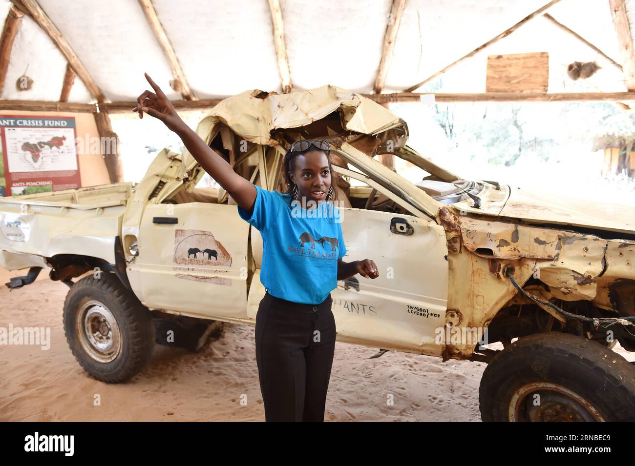 (160303) -- SAMBURU, March 3, 2016 -- Resson from Save the Elephants introduces their work in front of a truck destroyed by emotionally instable elephants during mating season, at STE camp in Samburu National Reserve, Kenya, March 1, 2016. In northern Kenya s Samburu region, there lives the second largest group of elephant species in this country. Around them, a number of elephant defenders have watched them day and night for the past 18 years. Founded in 1993, the organization Save The Elephants (STE) has been devoting its attention to secure the future of elephants and battle the ivory poach Stock Photo