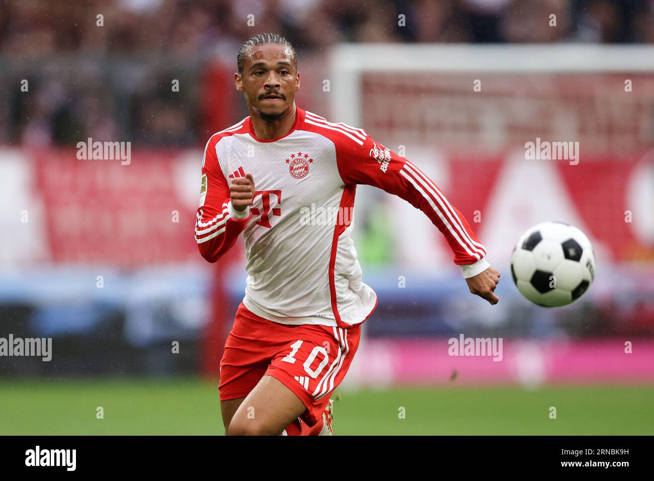 Leroy Sane of Bayern Muenchen  FC Bayern München - FC Augsburg 27.8.2023  Fussball 1 . Bundesliga Saison 2023/ 2024 © diebilderwelt / Alamy Stock Stock Photo