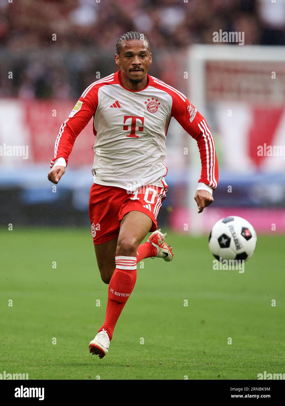 Leroy Sane of Bayern Muenchen  FC Bayern München - FC Augsburg 27.8.2023  Fussball 1 . Bundesliga Saison 2023/ 2024 © diebilderwelt / Alamy Stock Stock Photo