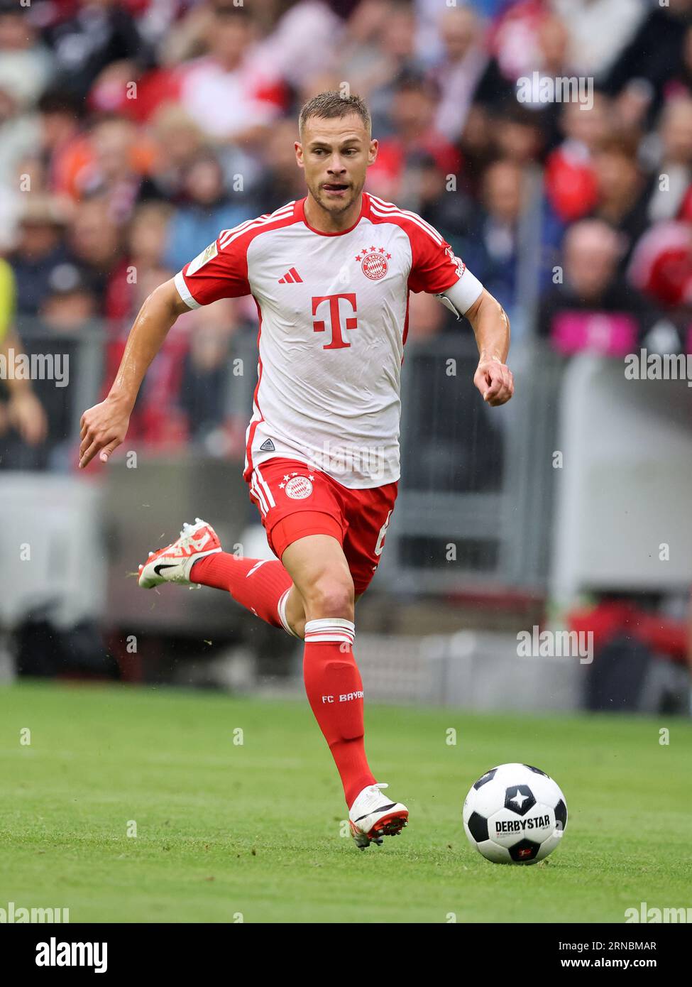 Joshua Kimmich of Bayern Muenchen  FC Bayern München - FC Augsburg 27.8.2023  Fussball 1 . Bundesliga Saison 2023/ 2024 © diebilderwelt / Alamy Stock Stock Photo