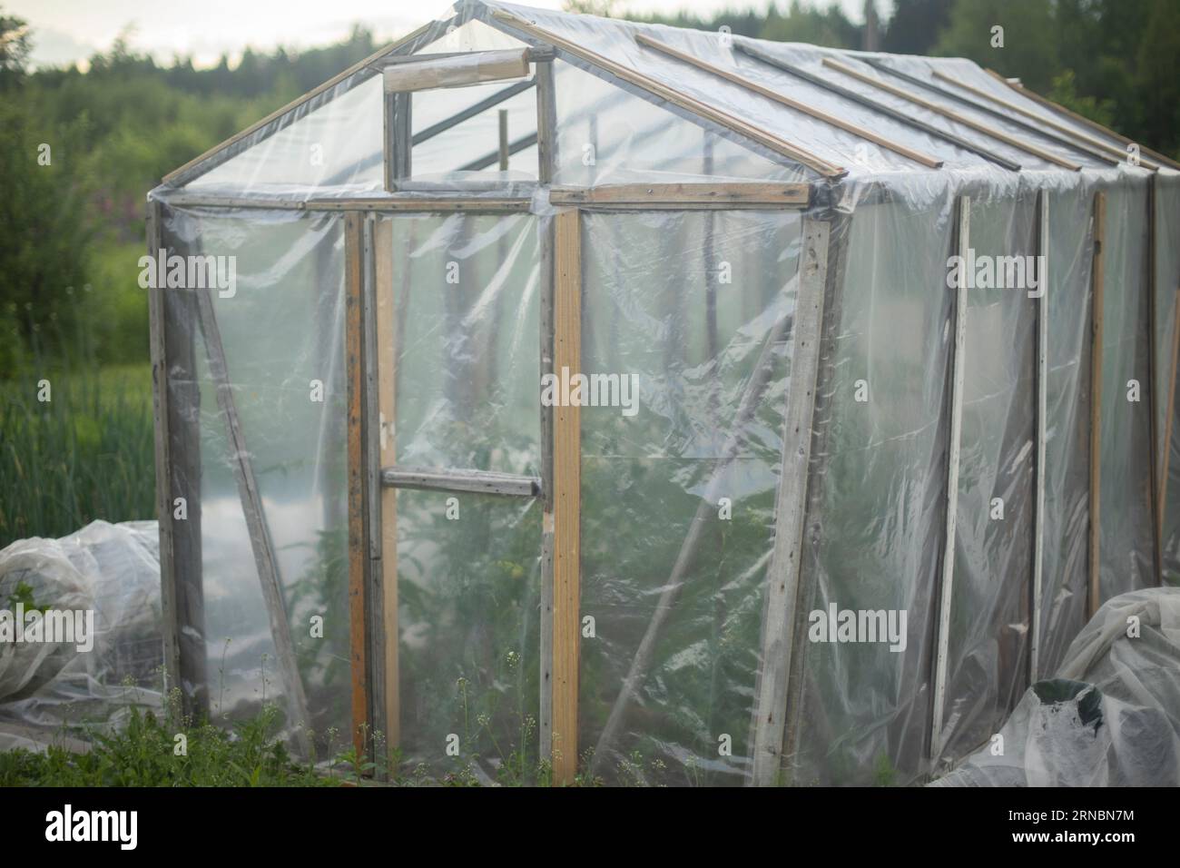 Market garden greenhouse hi-res stock photography and images - Alamy