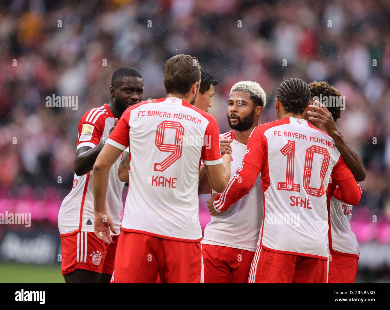 Serge Gnabry of Bayern Muenchen  FC Bayern München - FC Augsburg 27.8.2023  Fussball 1 . Bundesliga Saison 2023/ 2024 © diebilderwelt / Alamy Stock Stock Photo