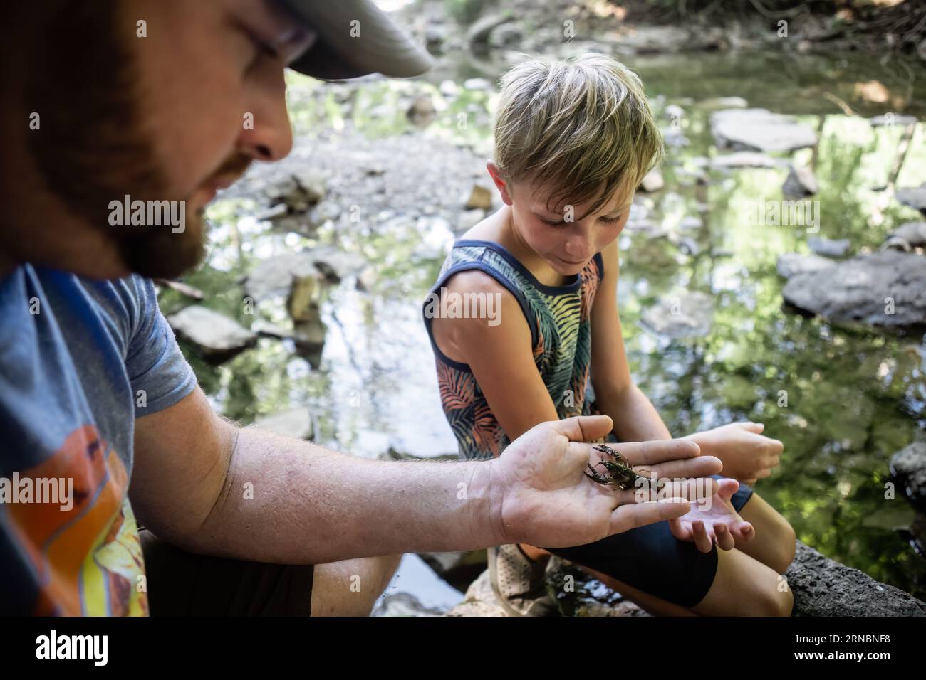 Father showing son crawdad on edge of creek during summer Stock Photo