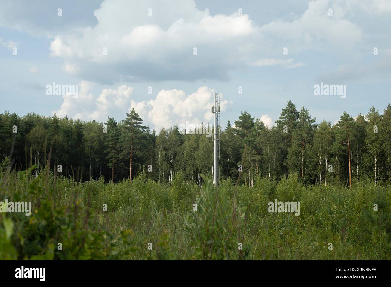 Scenery of leaf hi-res stock photography and images - Alamy