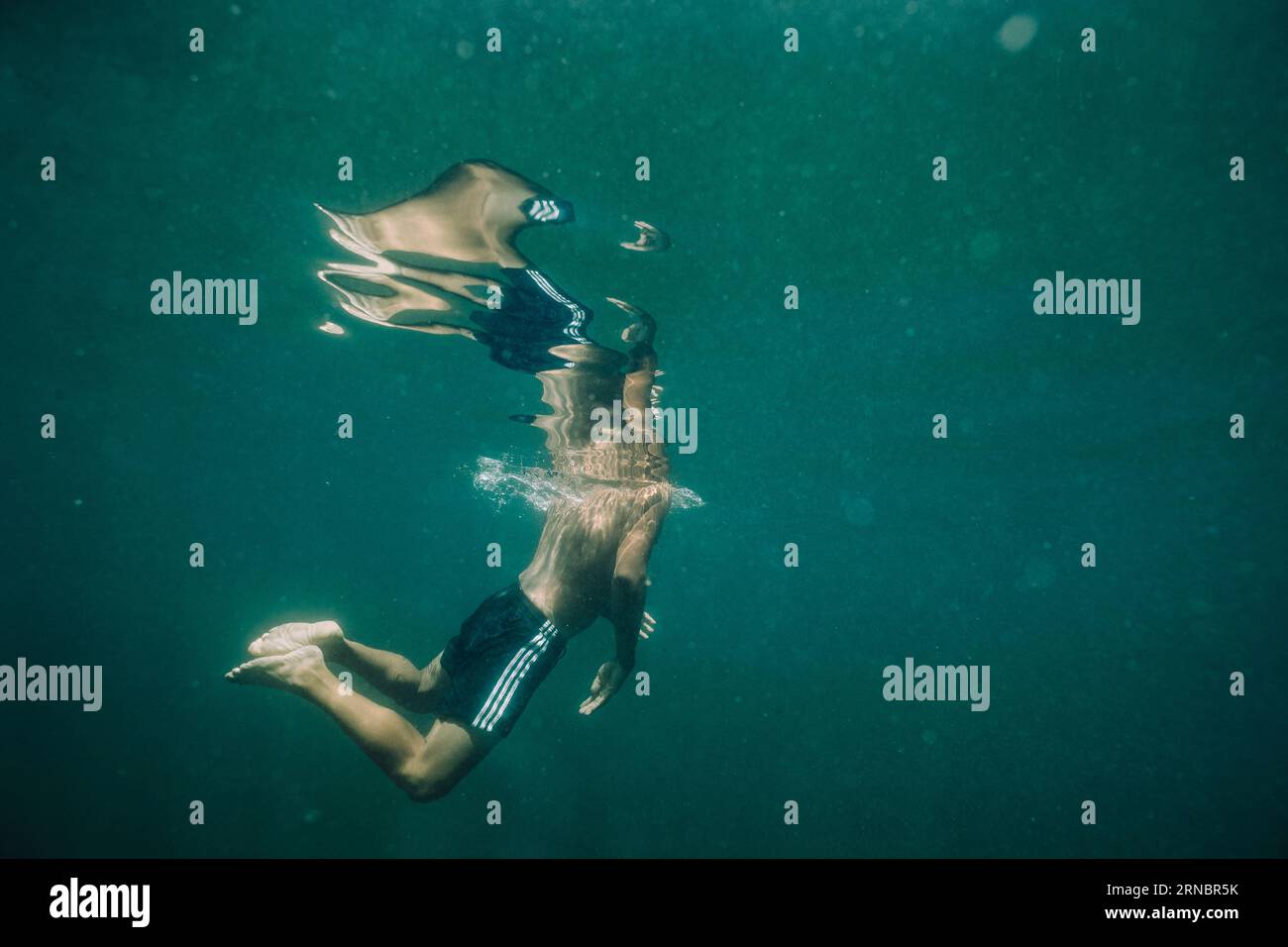 A young hispanic male swims to the lake's surface. Stock Photo