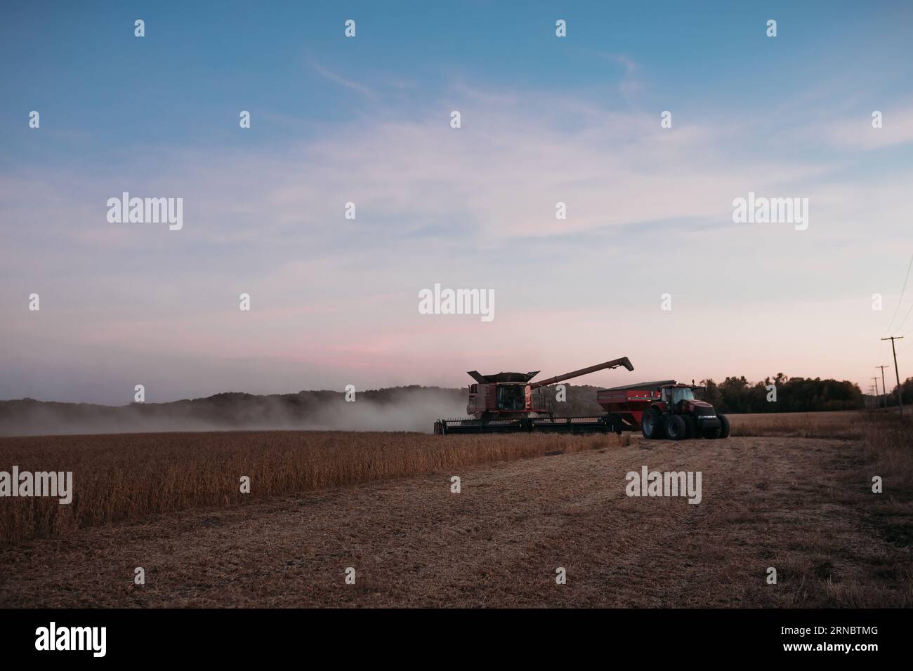 Combine and tractor harvesting soybean field during sunset Stock Photo ...