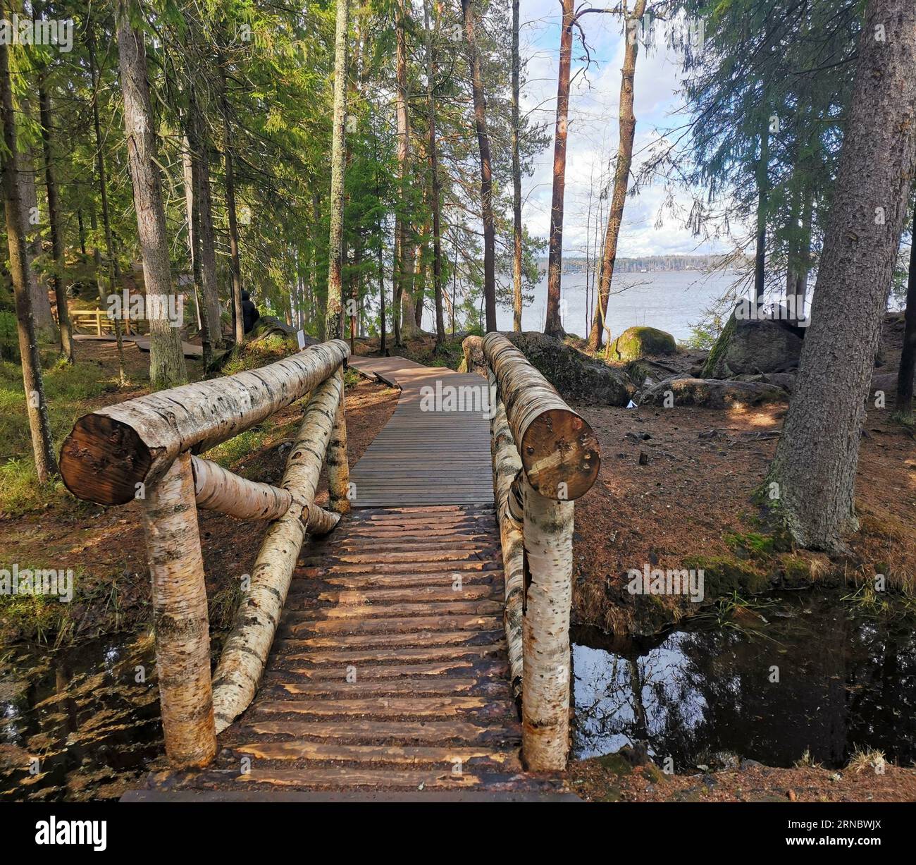 Wooden bridge in the forest Stock Photo - Alamy