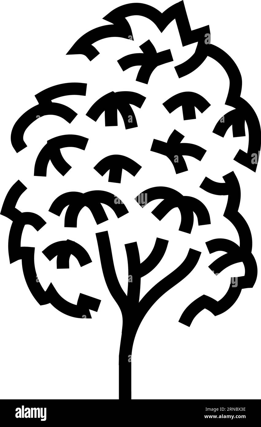 kauri tree jungle amazon line icon vector illustration Stock Vector Image & Art Alamy