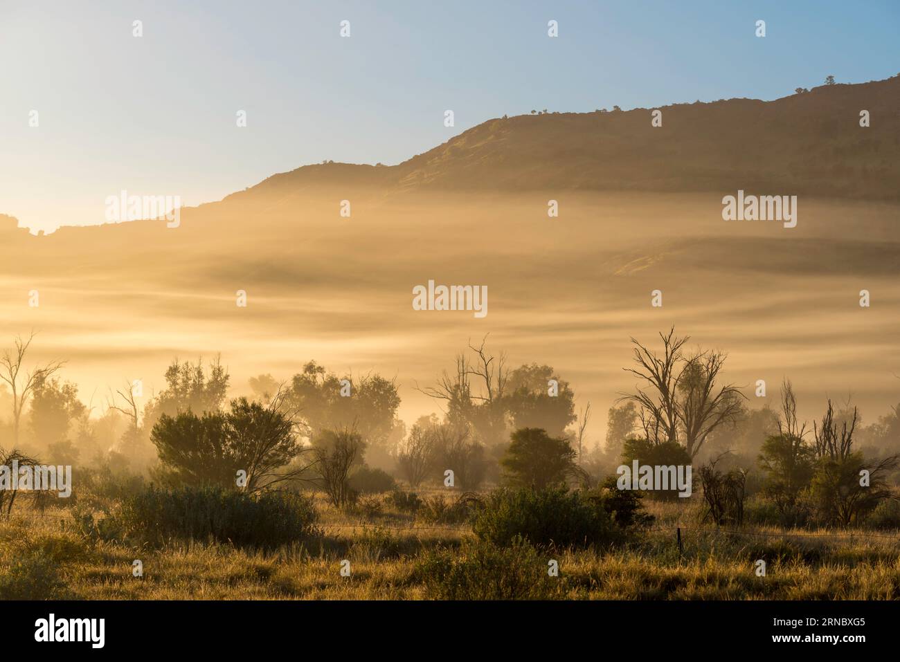 Low-hanging mist beside the Larapinta Drive between Alice Springs (Mparntwe) and Simpsons Gap (Rungutjirpa) in the Northern Territory of Australia Stock Photo