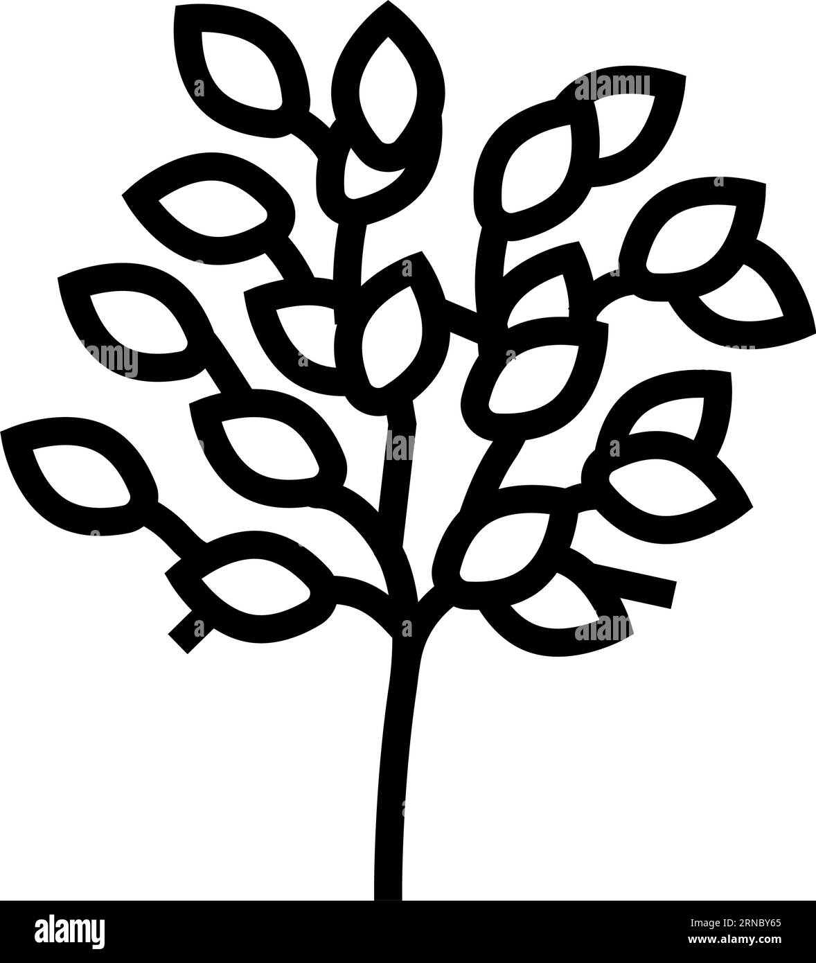 sakaki tree branch shintoism line icon vector illustration Stock Vector ...