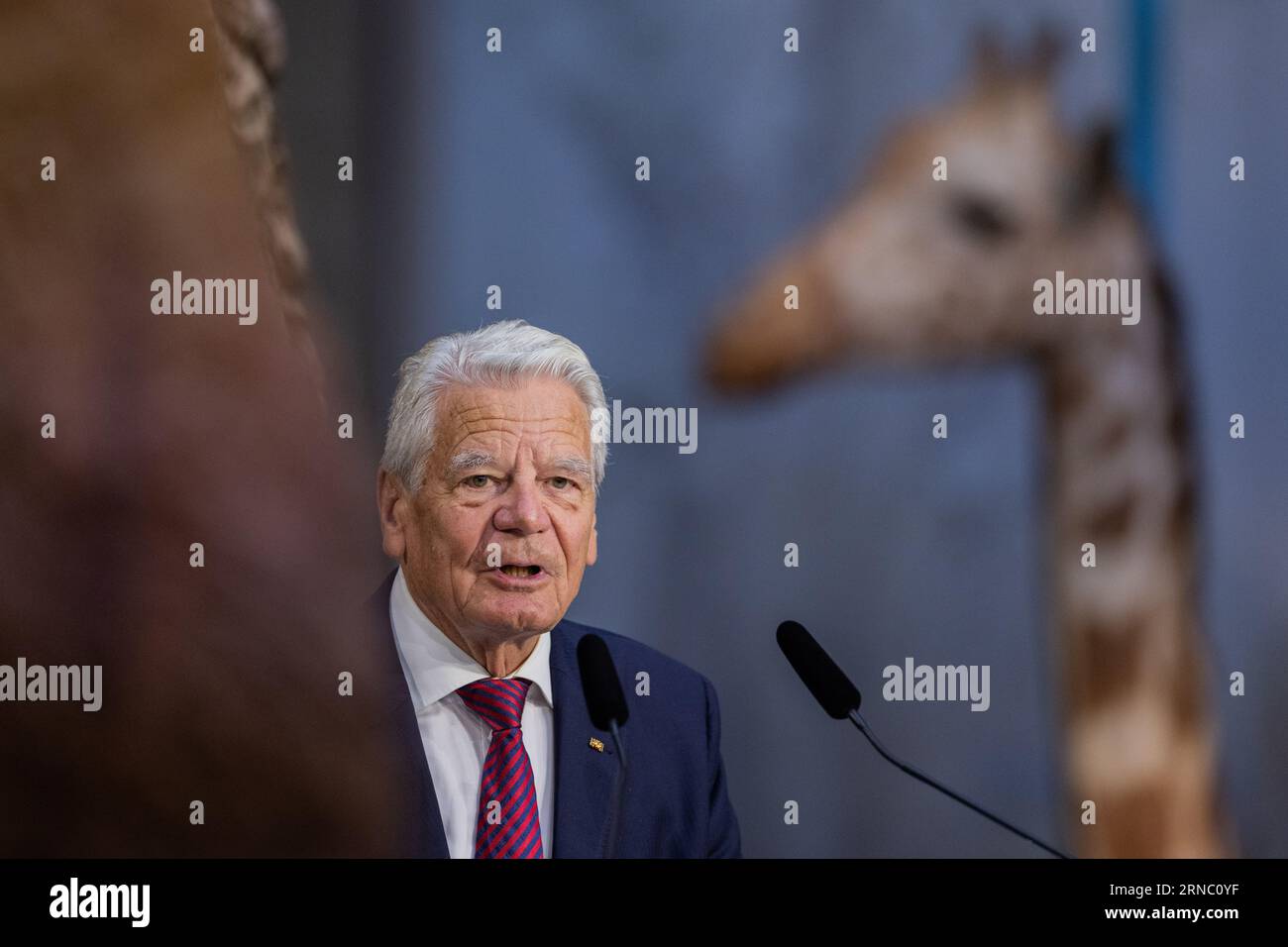 Bonn, Germany. 01st Sep, 2023. Former Federal President Joachim Gauck speaks at a celebration of '75 Years of the Parliamentary Council' at the Koenig Museum. To mark the 75th anniversary of the constituent meeting of the Parliamentary Council, the German Bundestag is holding a ceremony here. Credit: Rolf Vennenbernd/dpa/Alamy Live News Stock Photo