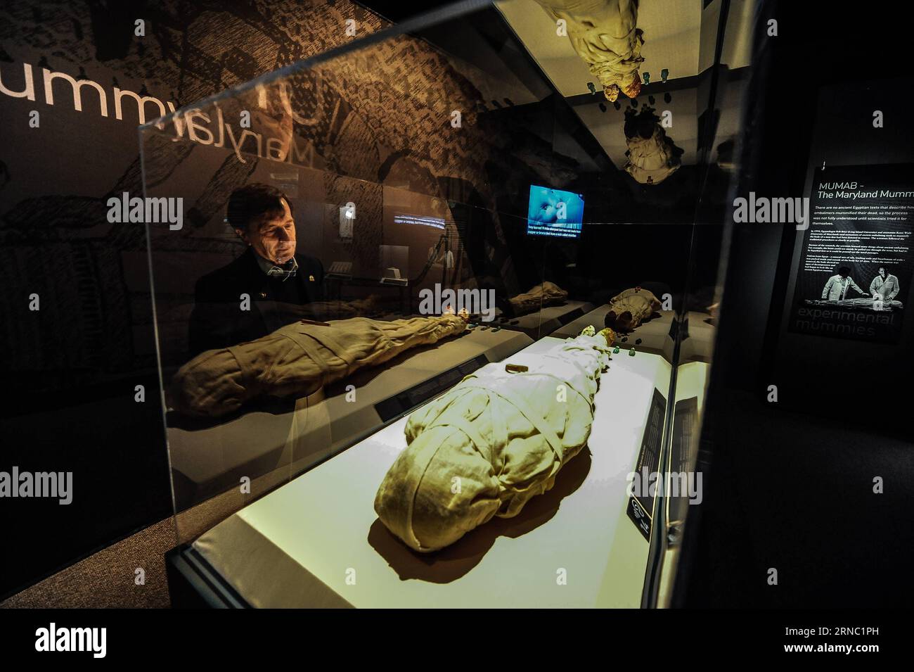 Mumien-Ausstellung in Santa Ana (160318) -- LOS ANGLELS, March 18, 2016 --  Photo taken on March 17, 2016 shows a female mummy displayed during the  preview of the Mummies of the World