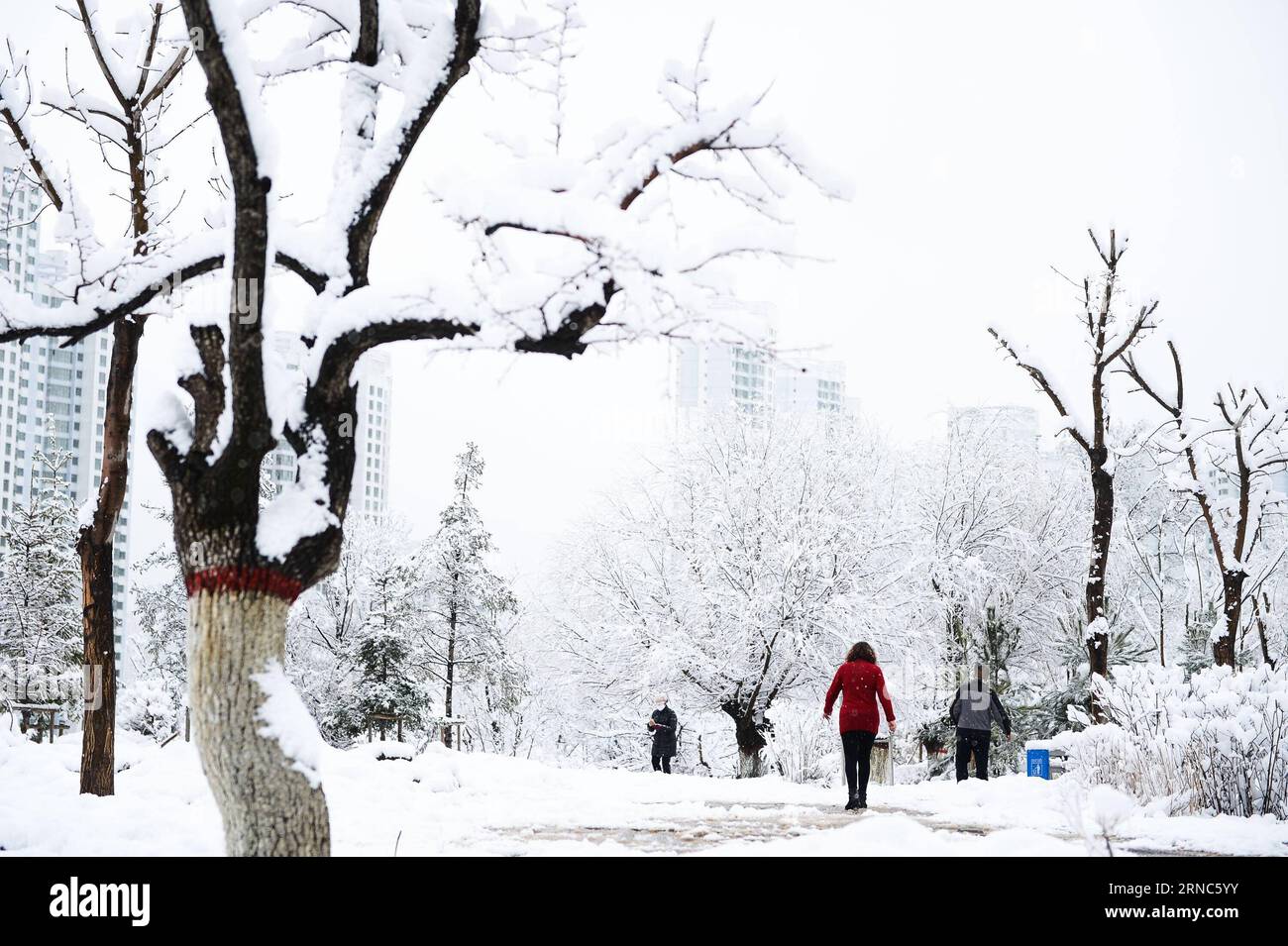 (160324) -- QINGHAI, March 24, 2016 -- A snow view is seen in Xining ...