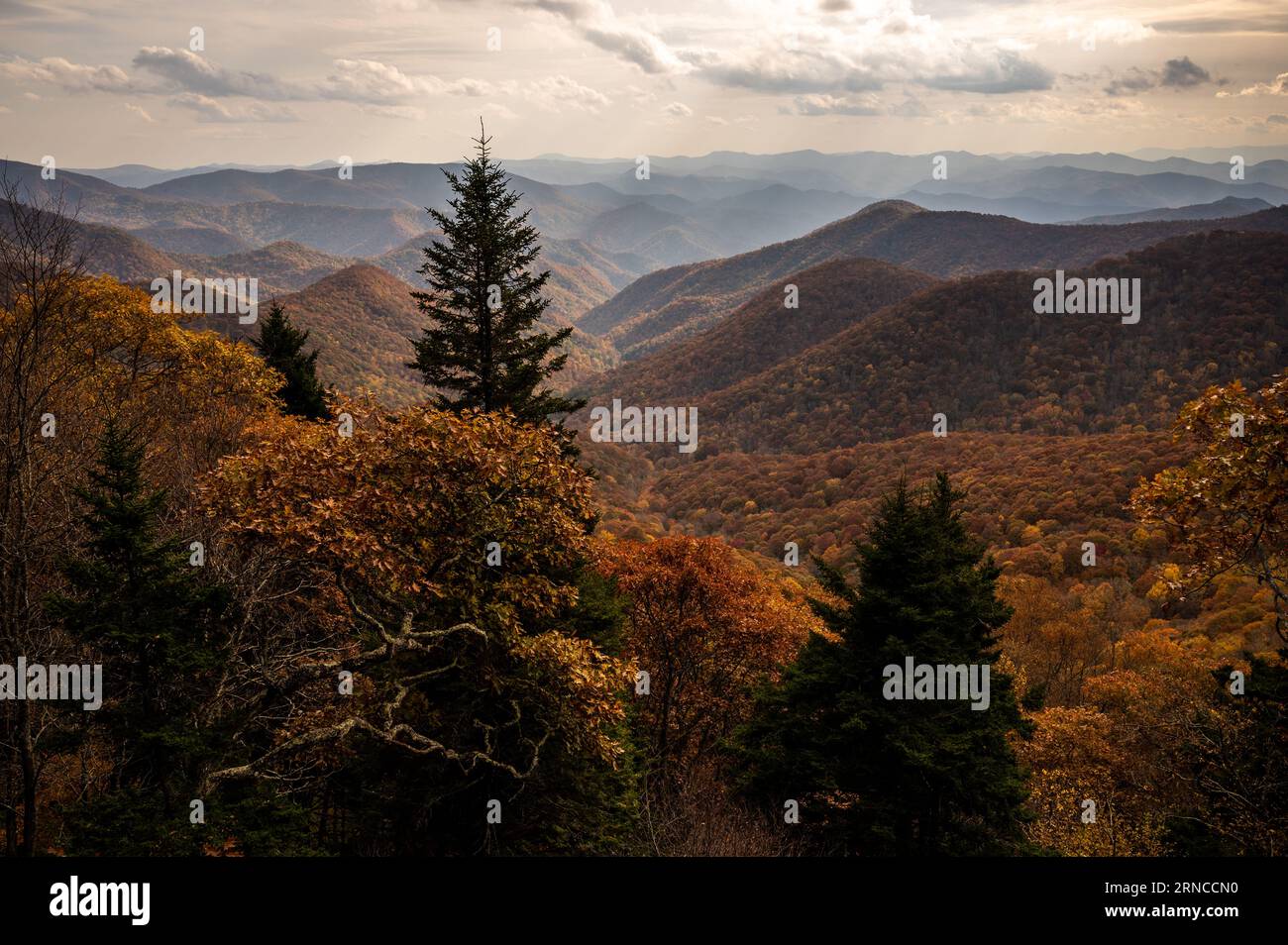 Brown and Orange Valley During Autumn in the Blue Ridge Mountains in ...