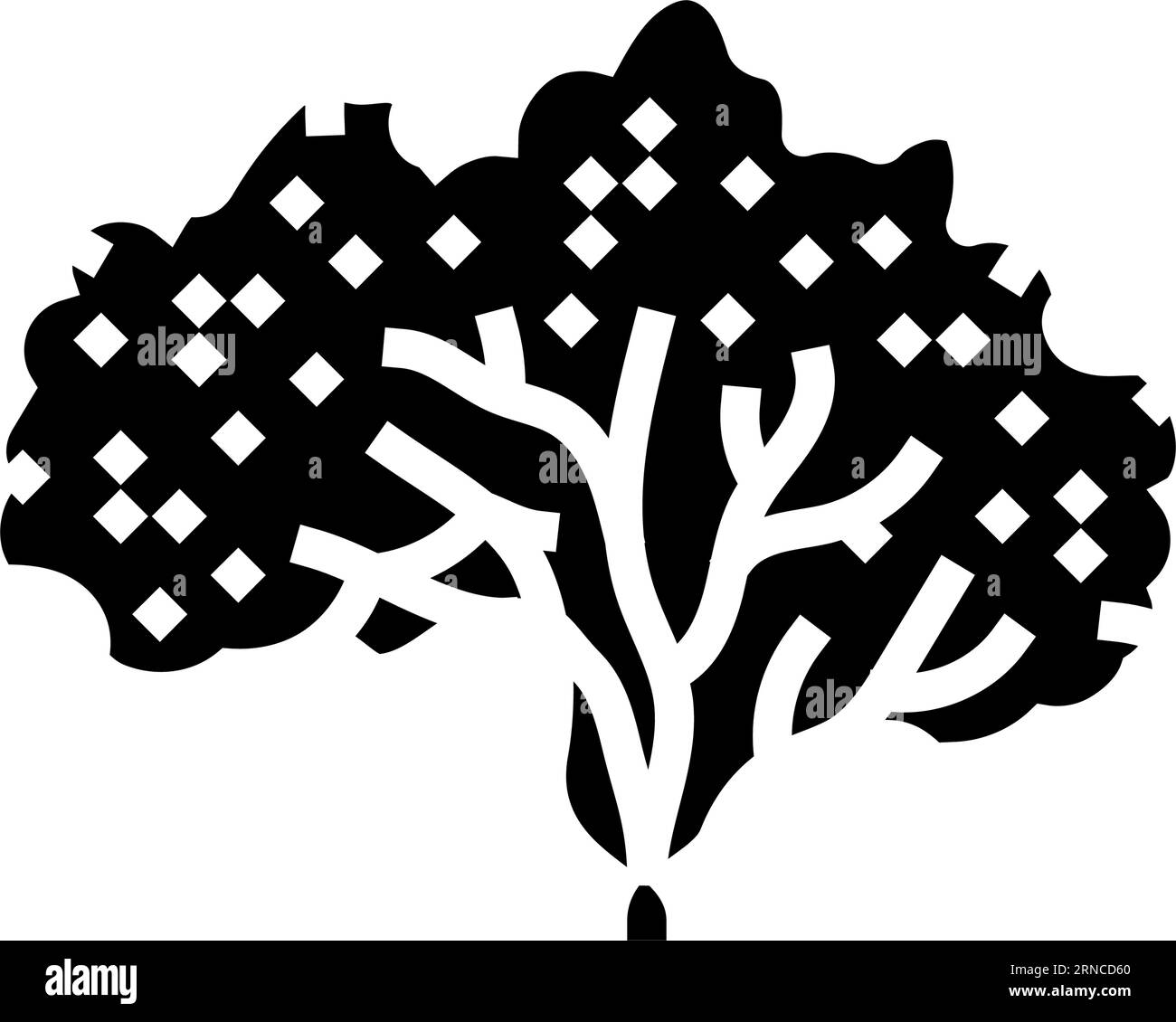 Guava Plant Black And White Stock Photos Images Alamy guava-plant-black-and-white-stock-photos-images-alamy