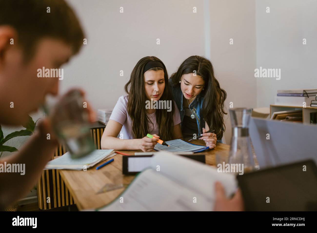 Young female friends reading while studying together at table Stock Photo