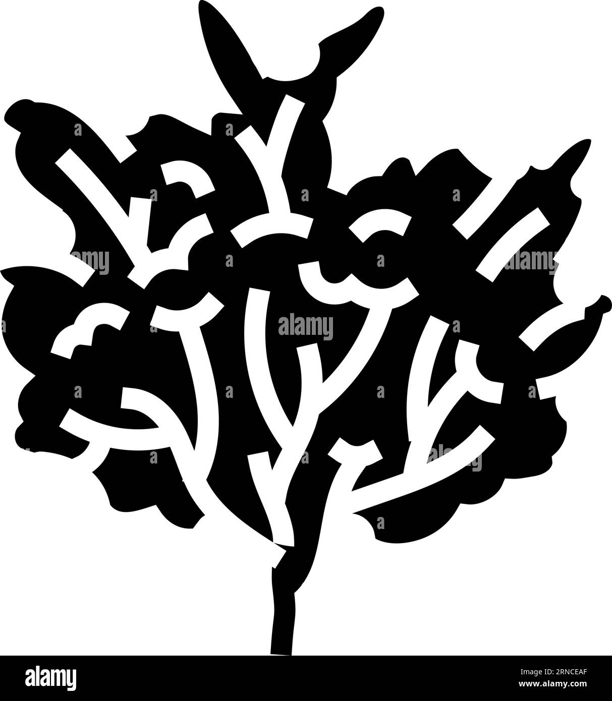 custard apple jungle amazon glyph icon vector illustration Stock Vector