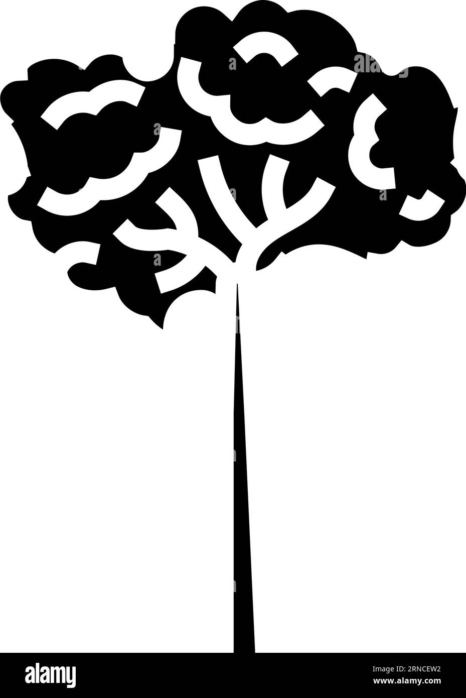 Aerial nut tree Black and White Stock Photos & Images - Alamy
