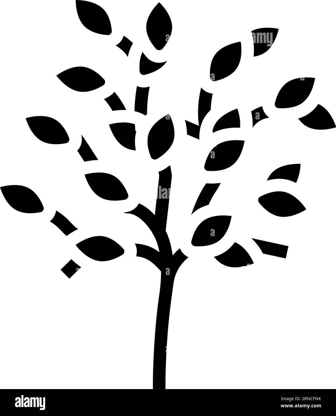 sakaki tree branch shintoism glyph icon vector illustration Stock Vector