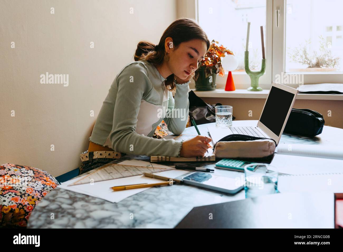 Young woman doing homework while writing in book at home Stock Photo