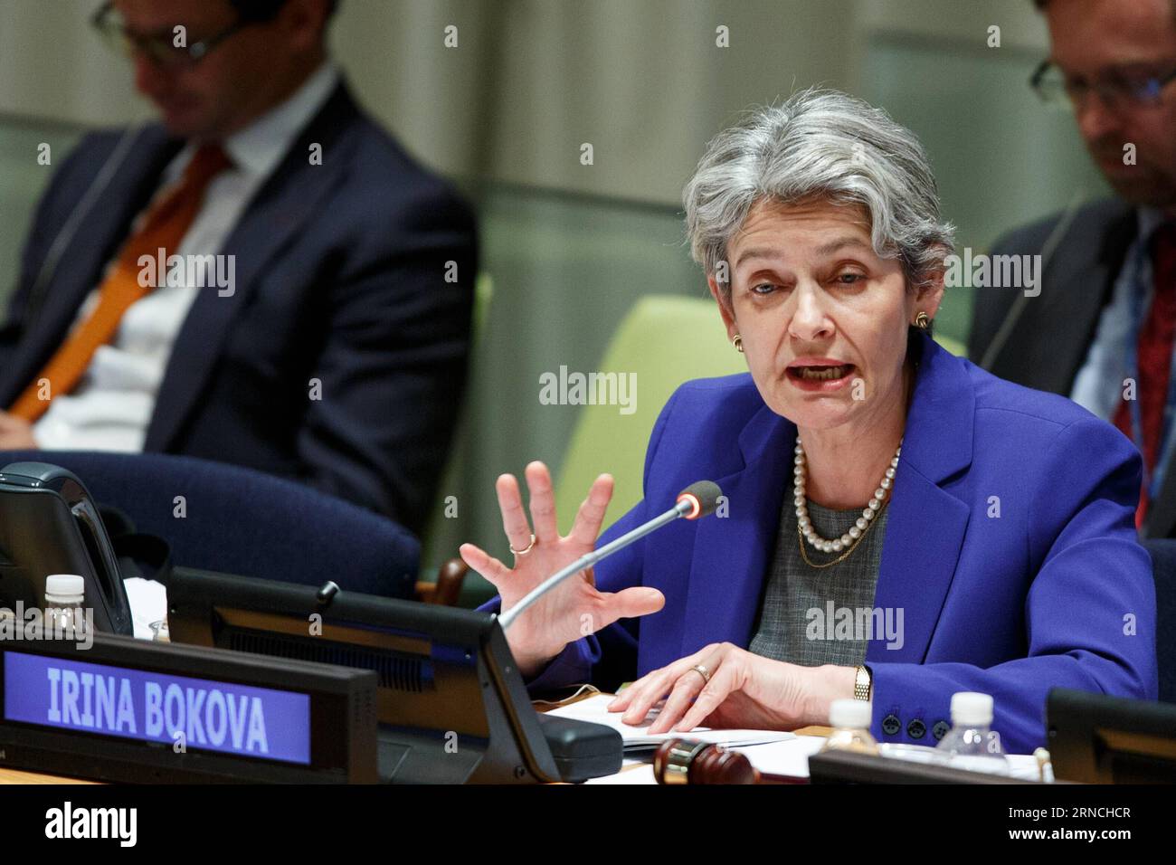 (160412) -- NEW YORK, April 12, 2016 -- Irina Bokova, director-general ...