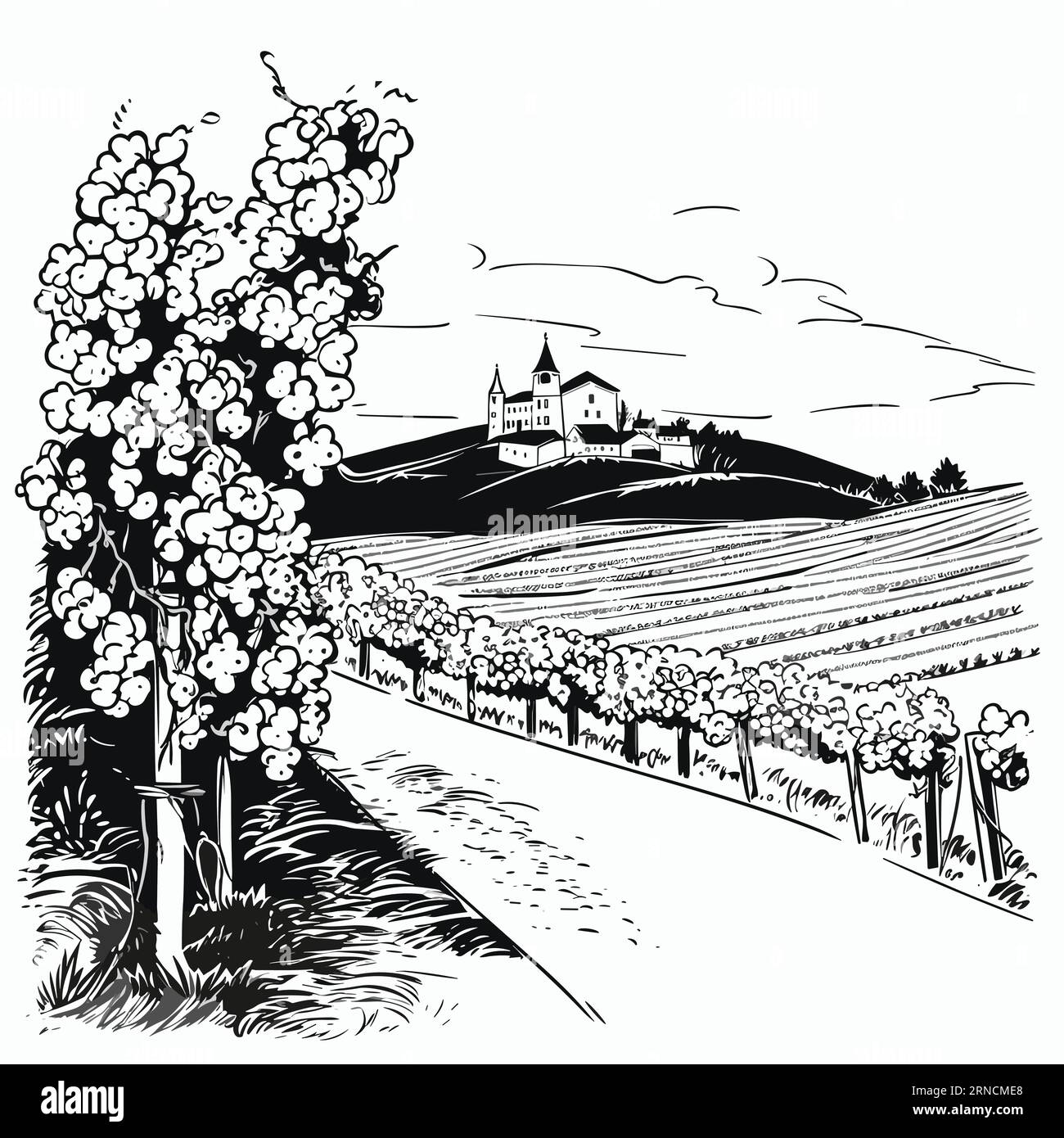 Ink And Pencil Drawing Image Of The Vineyard Field With A Tree And Fence, In The Style Of Charming Character Illustrations Stock Vector