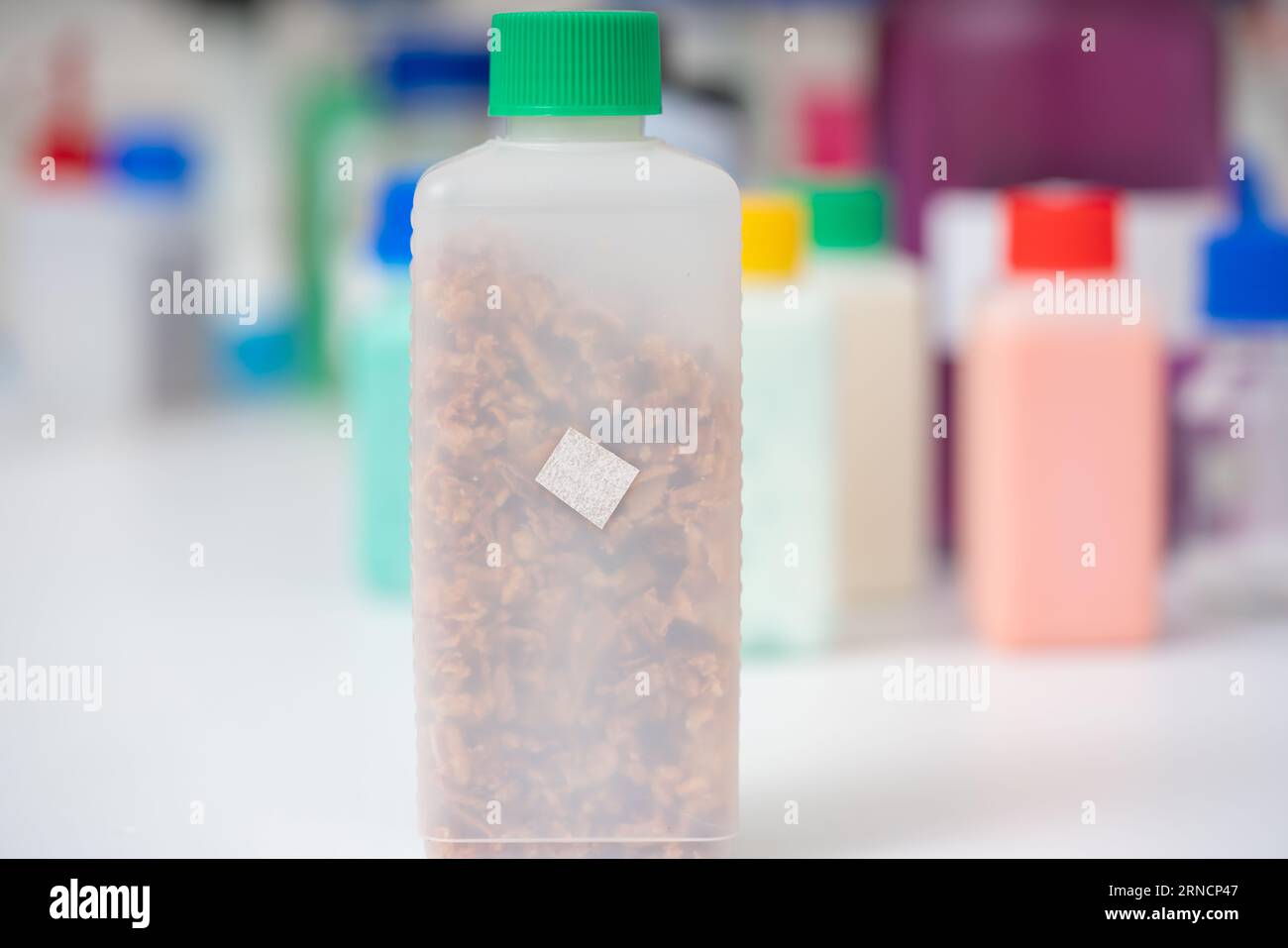 plastic jars of freezedried food in a food quality control laboratory