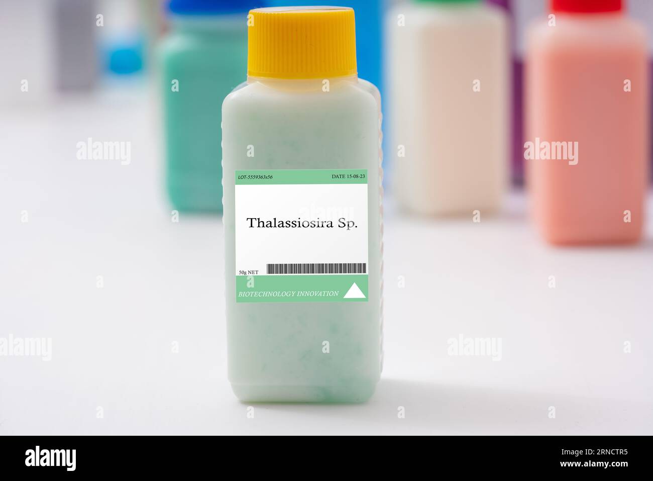 Thalassiosira sp. microalgae Used for aquaculture feed Stock Photo - Alamy